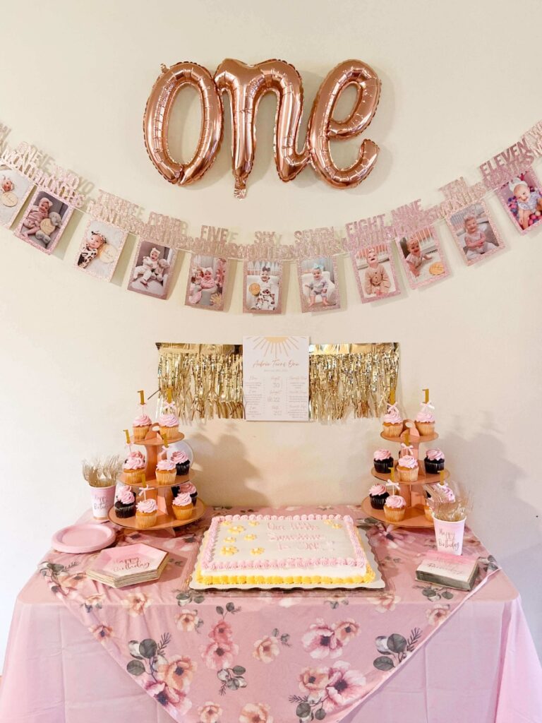 one balloon and twelve months banner sunshine birthday party