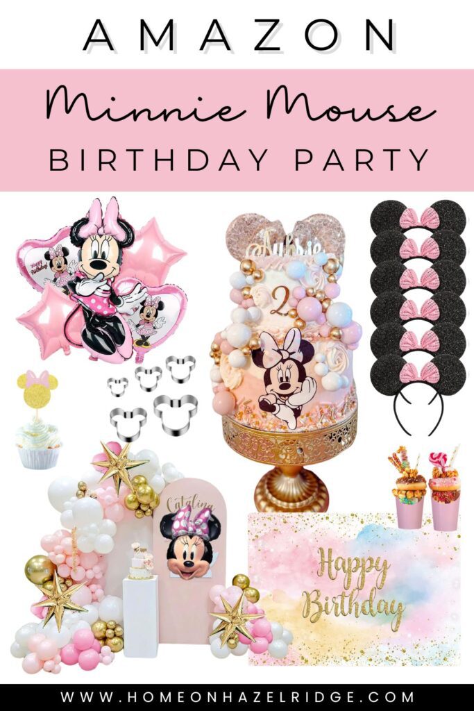 Minnie Mouse Birthday Party pin